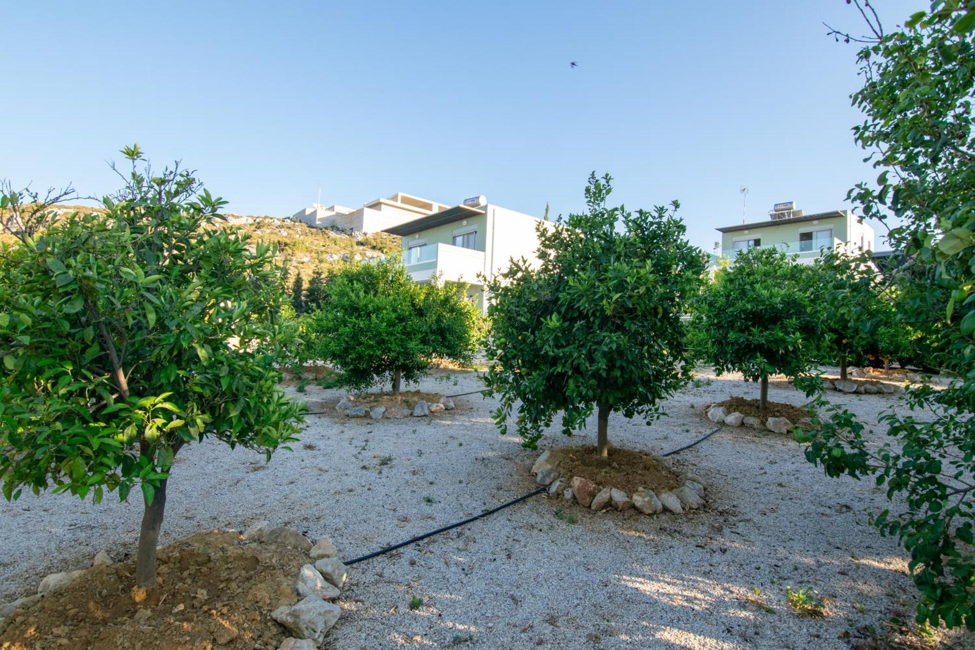 Κatakis Villas Айос-Онуфриос Экстерьер фото