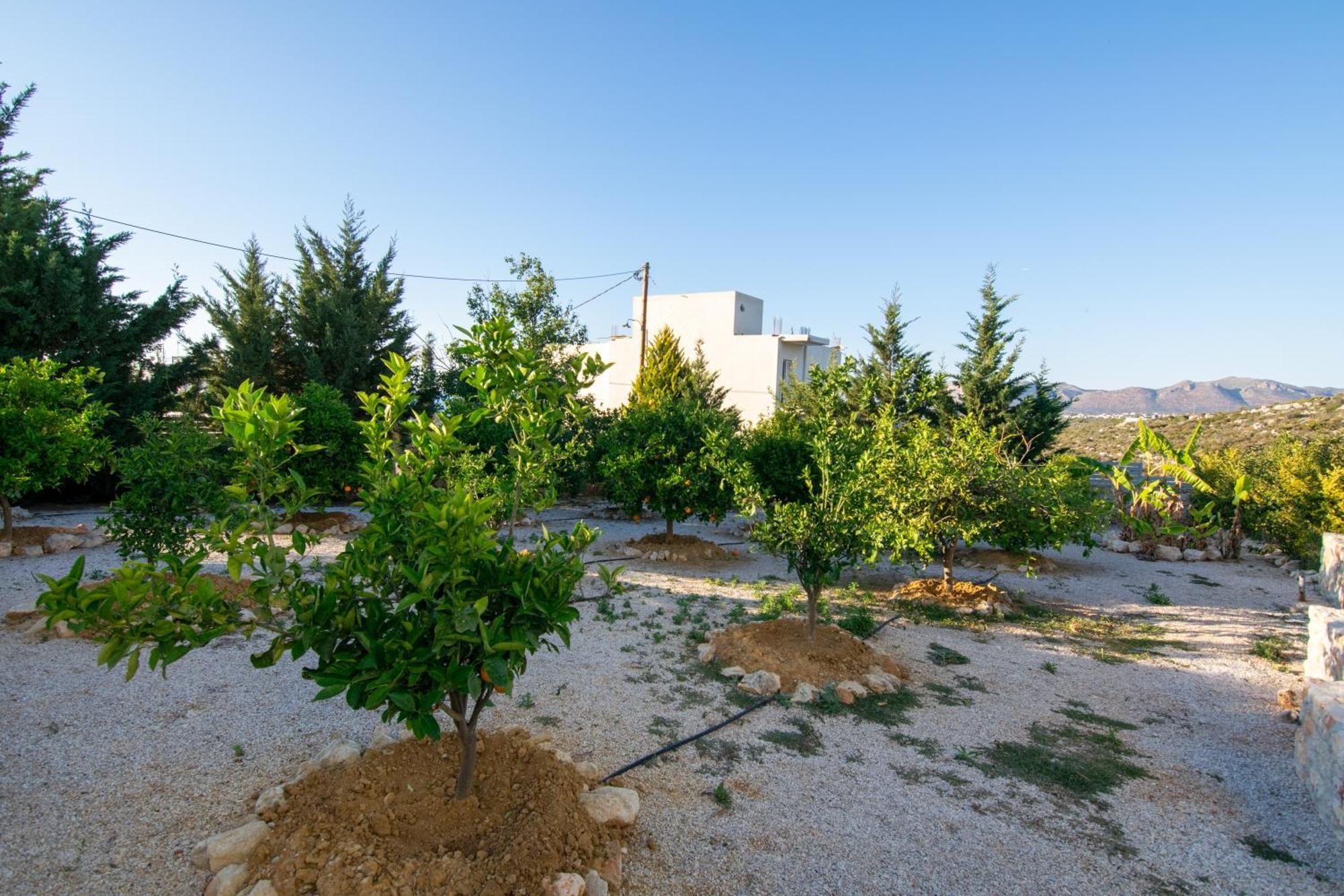 Κatakis Villas Айос-Онуфриос Экстерьер фото