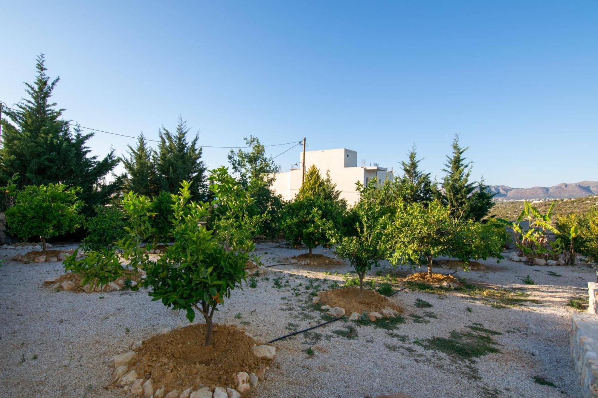 Κatakis Villas Айос-Онуфриос Экстерьер фото
